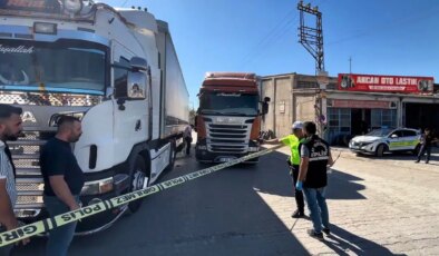 Husumet dehşete dönüştü: Kuzeninin üzerine TIR sürdü