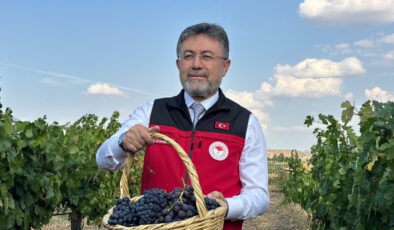 İbrahim Yumaklı: Bu sene 3 milyon 850 bin tonluk bir üzüm üretimi gerçekleşecek