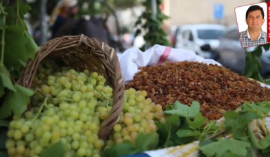 İktidar geçen yılın altında fiyat açıkladı: Kuru üzümde şok!