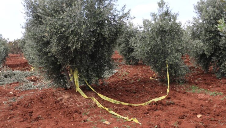 Kilis’te tarlasında çalışan çiftçinin acı ölümü