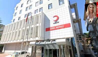 Kızılay’ın zeytinlik satışında yeni perde: ‘Asıl konu satış’