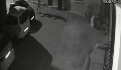 Korkunç anlar kamerada: Sahibi köpeğe tekme attı, sürükledi