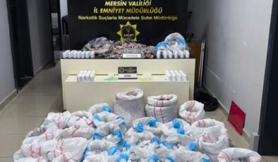 Minibüsten binlerce hap çıktı: 2 kişi tutuklandı