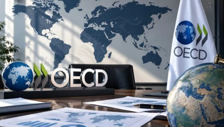 OECD, Türkiye ekonomisinin bu yıl yüzde 2,7 büyümesini bekliyor