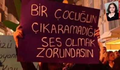 Ordu’da istismara uğradığı öne sürülen dört yaşındaki E.D. için 21 bin imza toplandı: ‘Adalet yerini bulsun’