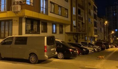 Servis minibüsünün çarptığı 6 yaşındaki çocuk öldü