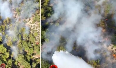 Son dakika… Antalya’da orman yangını: Havadan ve karadan müdahale başladı!