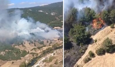 Son dakika… Balıkesir’de orman yangını: Müdahale başladı!