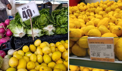 Tedarik zincirinde fahiş fiyatlara çözüm için ‘üretici birlikleri’ önerisi: ‘Tarlada kalan sarımsak, markette 120 TL’