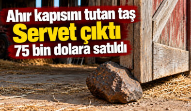 30 yıl ahır kapısını tutsun diye kullandı: Taş sandığı şey 75 bin dolar değerinde çıktı
