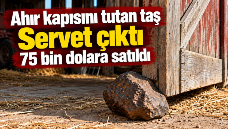 30 yıl ahır kapısını tutsun diye kullandı: Taş sandığı şey 75 bin dolar değerinde çıktı