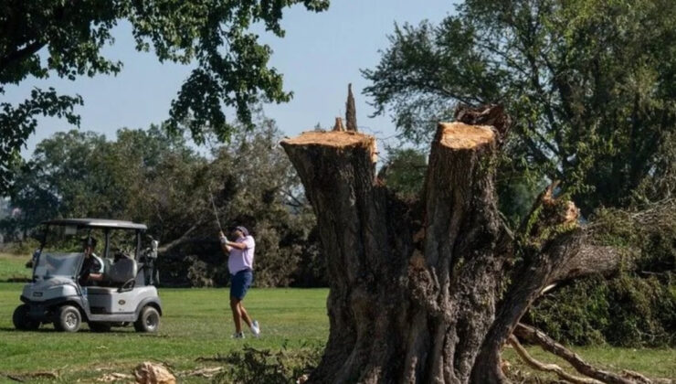 ABD’de Trump yönetiminin golf sahasındaki ağaç kesimine yargı engeli