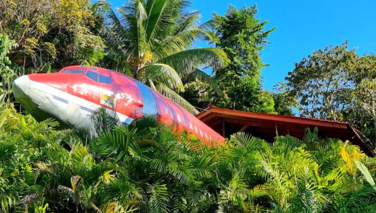 Bedavaya Boeing 727 aldı, ormanın içine taşıdı: Her gece para basıyor