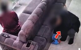 Bu da oldu: ‘Polisim’ dedi, ‘arama kararı’ gösterdi, evden para çalıp ayrıldı
