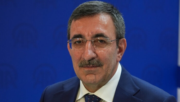 Cevdet Yılmaz: Fon soruşturmasında Devlet Denetleme Kurulu devrede