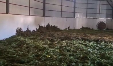 Diyarbakır’da dev uyuşturucu operasyonu: 2,2 ton esrar ele geçirildi