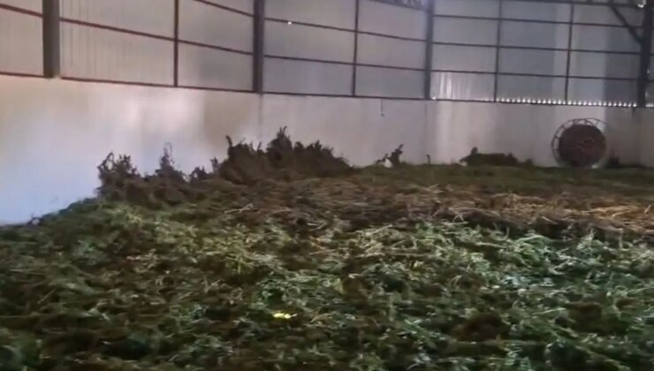 Diyarbakır’da dev uyuşturucu operasyonu: 2,2 ton esrar ele geçirildi