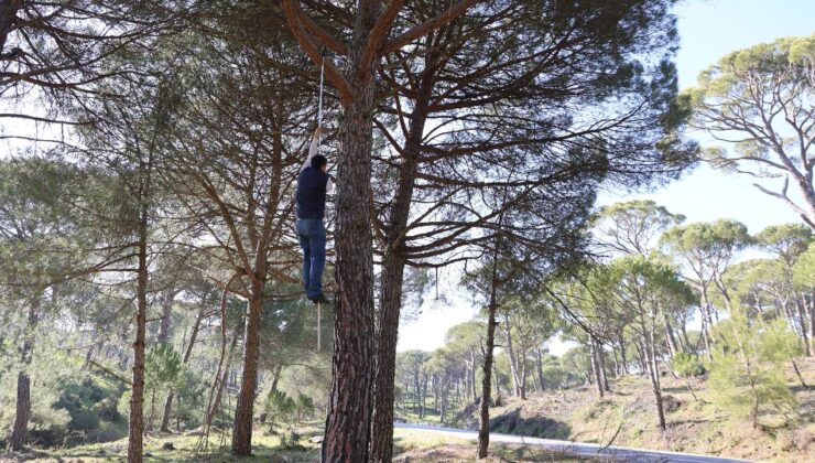 Doski Vadisi’nde 50 yıllık üretim: Kimse inanmadı, biz başardık