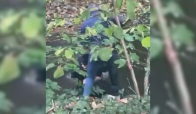 Fransa’da polisin bir genci nehirde boğmaya çalıştığı iddiasına soruşturma
