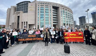 Hayvan hakları savunucularından ‘adalet’ çağrısı: 75 imzayla Cenevre’ye başvuru!