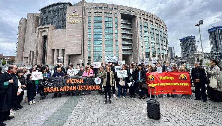 Hayvan hakları savunucularından ‘adalet’ çağrısı: 75 imzayla Cenevre’ye başvuru!