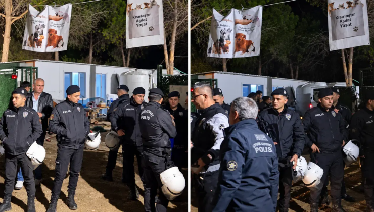 İzmir Ege Üniversitesi’ne gece yarısı baskını… Yaklaşık 200 köpek toplatıldı, kampüste arbede yaşandı!