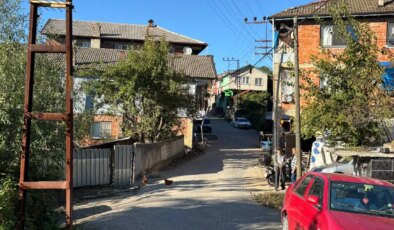 Kestane toplamak için gittiği ormanda ölü bulundu