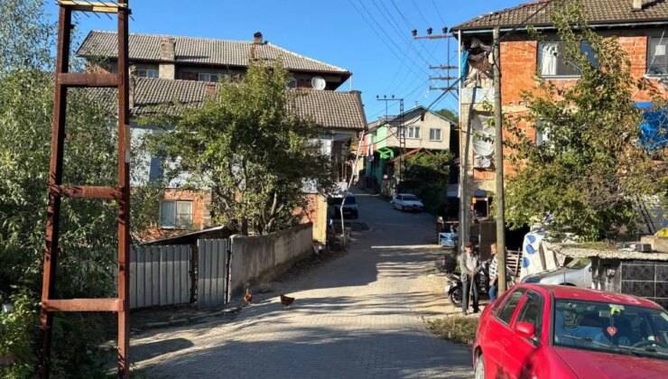 Kestane toplamak için gittiği ormanda ölü bulundu