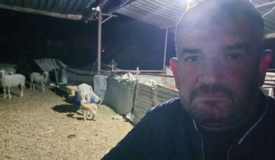 Koyunlarını otlatmak için çıkmıştı: Ölü bulundu