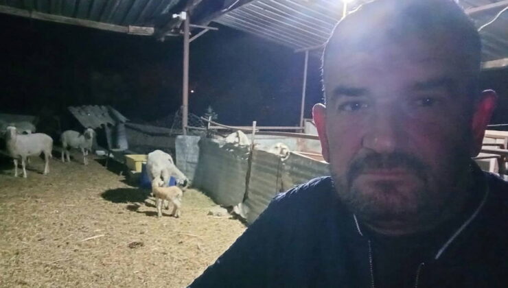 Koyunlarını otlatmak için çıkmıştı: Ölü bulundu