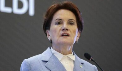 Meral Akşener, kurduğu vakfın yol haritasını açıkladı