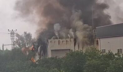 Mersin’de tütün işleme tesisinde yangın paniği