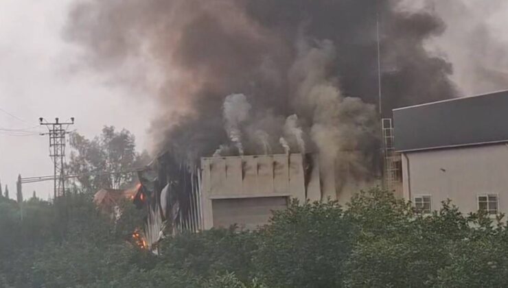 Mersin’de tütün işleme tesisinde yangın paniği