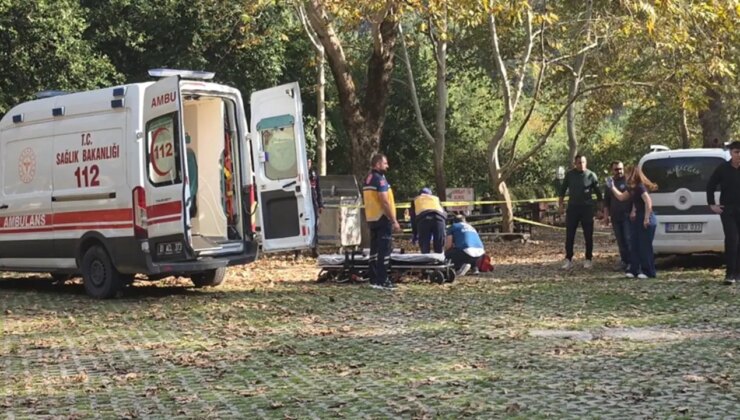 Mesire alanında kadın cinayeti: Arkadaşlık teklifini reddetti, öldürüldü