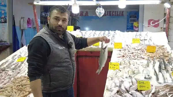 Palamut frene bastı, Marmara’nın ‘efendisi’ geri döndü! Tanesi 400 liradan tezgaha indi…