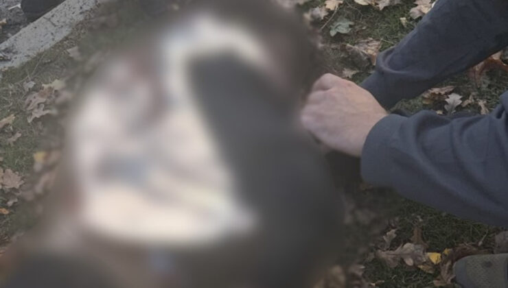 Rusya Ukrayna’da parkı vurdu: 3’ü çocuk 6 ölü