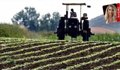 Tarımsal girdiler yüzde 30.28 arttı, maliyetler geleceği tehdit ediyor