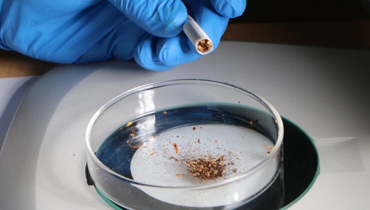 Türkiye listede 2. sırada: 1 gram sigara tütününden 19 mikroplastik çıktı